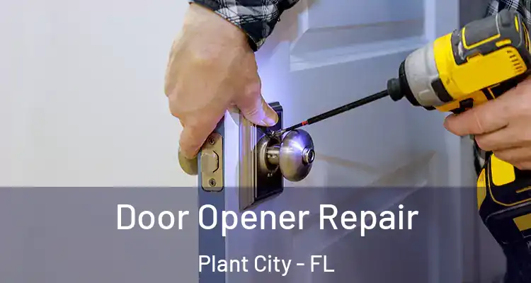  Door Opener Repair Plant City - FL