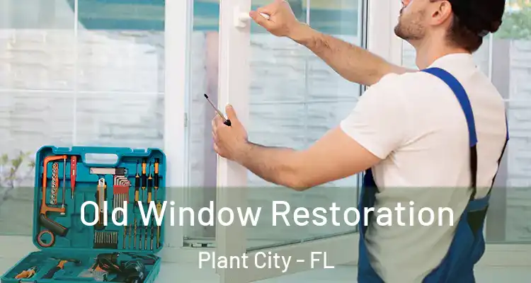  Old Window Restoration Plant City - FL