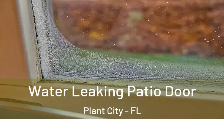  Water Leaking Patio Door Plant City - FL